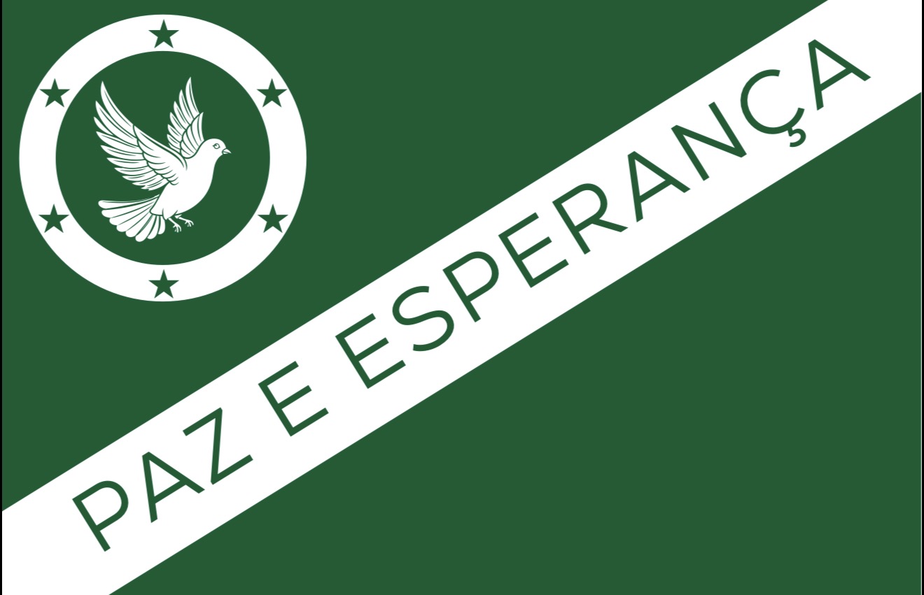 Bandeira Oficial de Luís Domingues